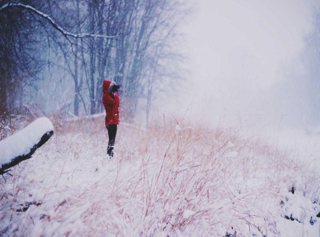 The Ultimate Loadout: Gear and Skills for an Easy Win