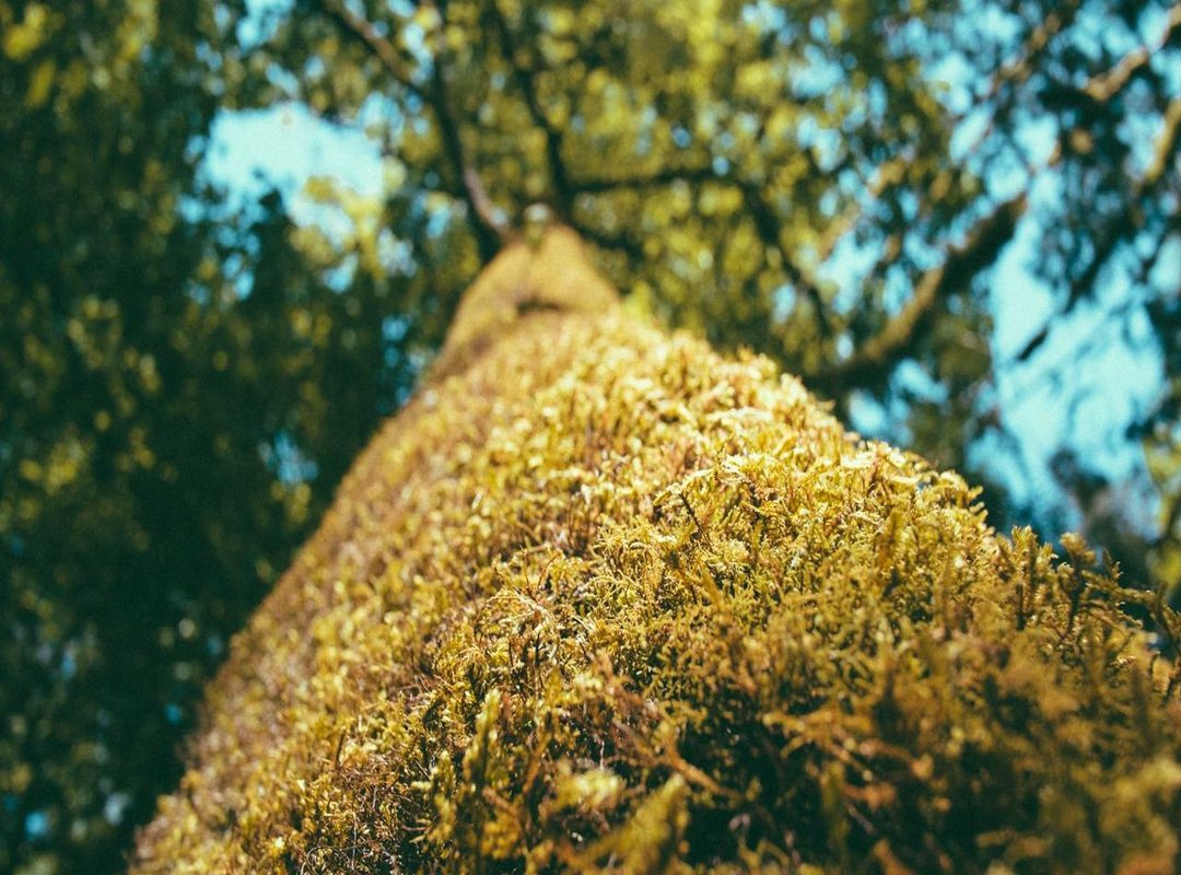 Beyond the Gear: Core Strategies That Win High-Stakes Matches