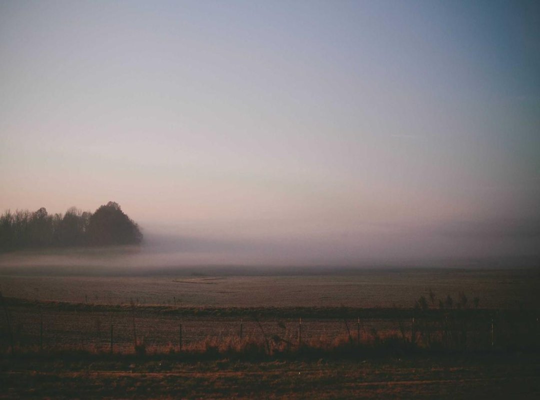 From Powder to Porridge: A Simple Preparation Guide